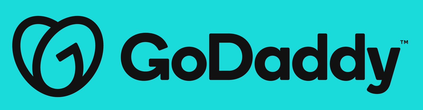GoDaddy Logo
